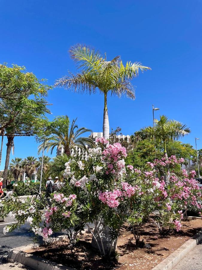 El Dorado Estrella Playa de las Americas (Tenerife) Exterior foto